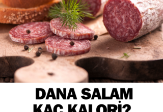 Dana salam kalorisi nedir?