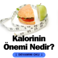 Kalorinin Önemi Nedir?